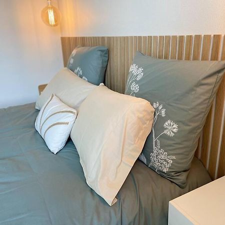 Cocon Douillet Pres De La Gare. Apartamento Nancy Exterior foto