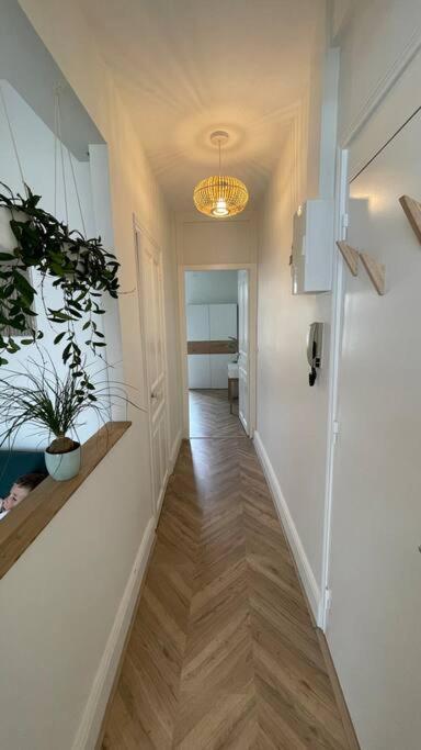Cocon Douillet Pres De La Gare. Apartamento Nancy Exterior foto