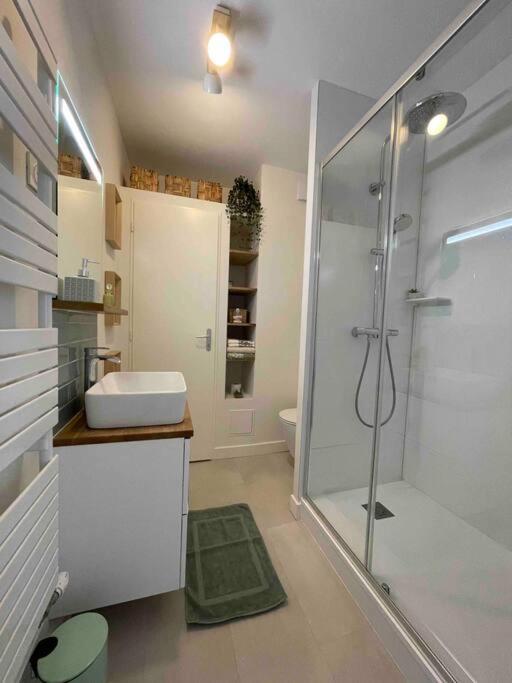 Cocon Douillet Pres De La Gare. Apartamento Nancy Exterior foto